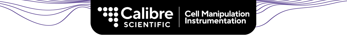 CMI_Newsletter_Header-1
